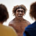 5 moksliški galvosūkiai atsipalaidavimui: ar tikrai neandertaliečiai buvo labai protingi?