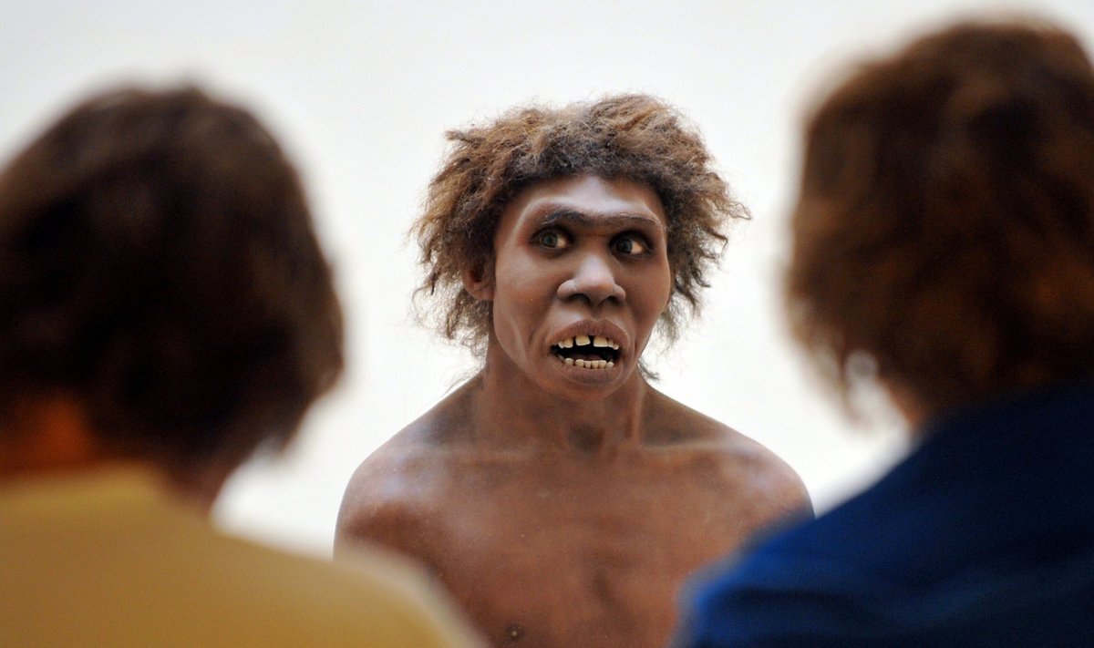 Taip atrodė neandertaliečiai