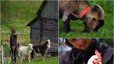 Viktorija sukūrė ypatingus namus fermos gyvūnams: jie per plauką išvengė žiauraus likimo