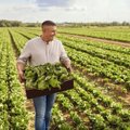 Naujoje „Lidl“ kampanijoje – dėmesys Lietuvos tiekėjams ir ūkininkams
