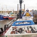 Norvegija pagrasino į savo vandenis nebeįsileisti ES ir JK žvejų