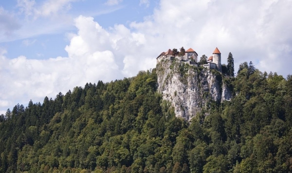 Bledas Slovėnijoje