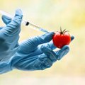 Mokslininkai atsakė, ar genetiškai modifikuoti maisto produktai gali pakeisti žmogaus genus