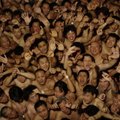 Religiniame festivalyje nuogi japonai aršiai kovoja dėl sėkmę nešančių lazdelių