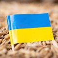 Украина приостановила действие морского зернового коридора