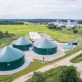 „Amber Grid“: auga susidomėjimas biodujų gamyba