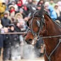 Fotografuok! Žirgų lenktynės „Sartai 2015“