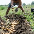Ūkininkai: visa šalis jau junta krizės alsavimą