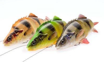 4D Perch Shad sistemėlės