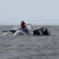 Šaltis stiprėja, iš Kuršių marių žvejus gena dreifuojantys ledai
