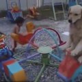 Nufilmavo neįtikėtinas šuns linksmybes