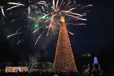 Įžiebta didžioji Druskininkų Kalėdų eglė, prakartėlė ir 46 eglučių parkas