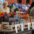 Delfi rytas. Gydytoja apie tinkamą mitybą vasarą: kaip maksimaliai išnaudoti šviežių vaisių ir daržovių potencialą?