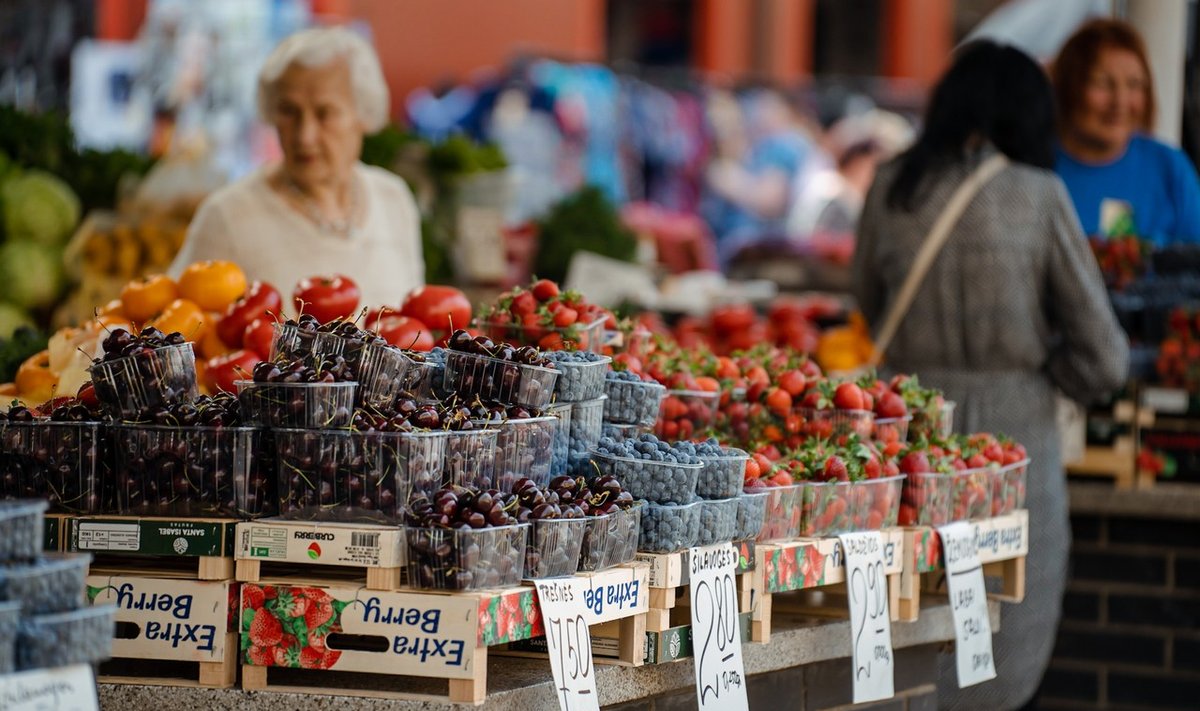 Panevėžio turguje – pirmosios lietuviškos daržovės