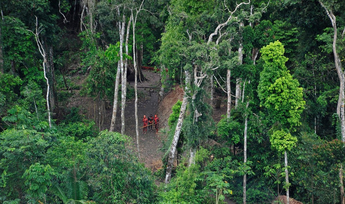 Amazonės džiuglėse netoli nuo Brazilijos ir Peru pasienio gyvenanti gentis