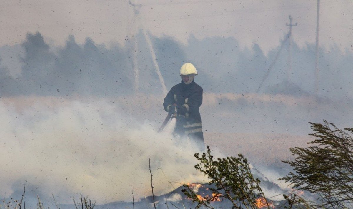 Milžiniškas gaisras netoli Kauno: situacija itin pavojinga