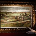 Aukcione parduos van Gogh`o paveikslą, pradinė kaina – 5 mln. eurų
