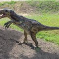 Mokslininkai pagaliau išsiaiškino: milžiniški dinozaurai turėjo snapus