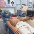 Japonijoje pristatomas kiaulių gripo simptomų imitatorius