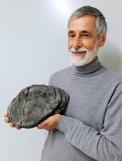 Šveicarijos Alpėse aptiktos iki šiol didžiausio ichtiozauro fosilijos. Heinz Furrer/Rosi Roth/University of Zurich nuotr.