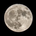 Mėnulio grunto mėginius ištyrę mokslininkai apskaičiavo jo amžių – Žemės palydovas senesnis nei manyta iki šiol