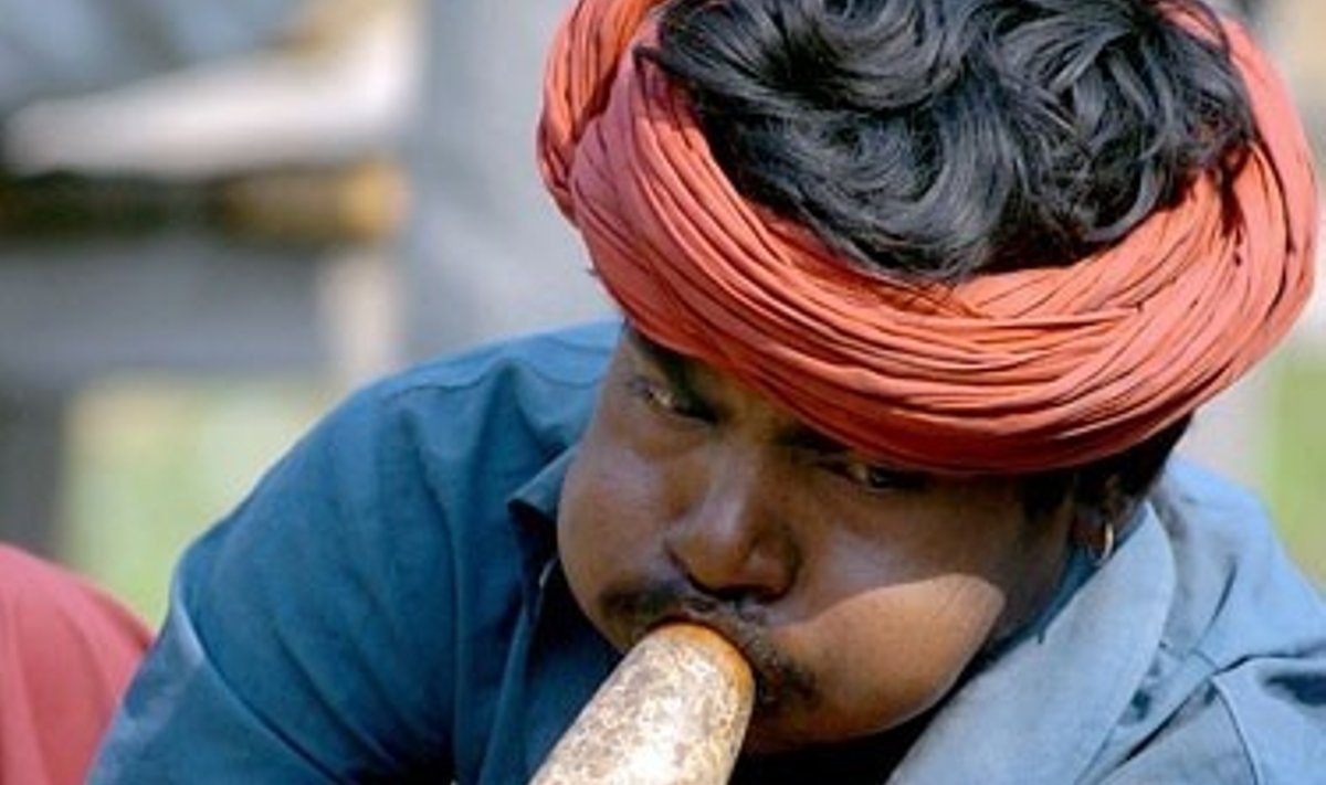 Indas gyvačių užkalbėtojas Ablu groja medine fleita per pasirodymą su gyvate viename Indijos kaimelyje.