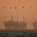 Smunkant naftos kainoms, nerimaujama dėl Irano atsargų