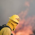 Kaliforniją siaubia miškų gaisrai