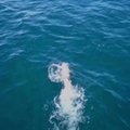 Italų plaukikas pasiekė naują pasaulio rekordą, kirtęs aukščiausiai tyvuliuojantį gėlavandenį ežerą Titikaką