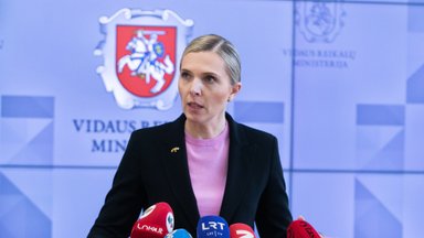 Глава МВД Литвы предлагает вернуться к дискуссии об унификации санкций в отношении россиян и белорусов