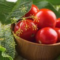 Pomidorų sėklų sėja