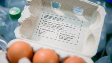 Vokietiją pasiekė per 28 mln. fipronilu užterštų kiaušinių