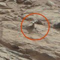 NASA paaiškino „Marso koralo“ ir „Marso gėlės“ kilmę