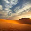 Neįtikėtina: daugiau žmonių dykumose miršta paskendę nei nuo troškulio