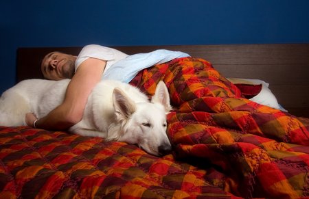 Miegas su šunimis saldesnis