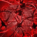Slaptas geležies stygius: kai anemija artėja keturmyliais žingsniais