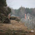 СОГГ: за сутки на границе с Беларусью развернули 21 нелегального мигранта