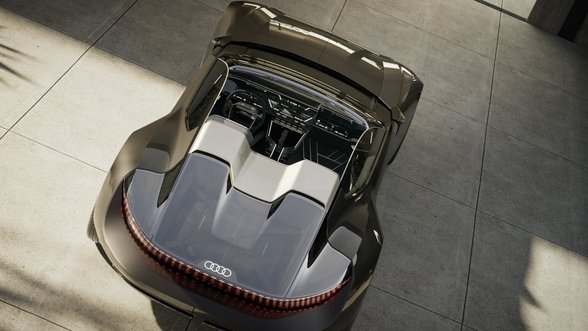 „Audi“ parodė, ką gali: pristatė itin prabangų dvivietį elektrinį rodsterį
