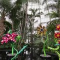 Beribė jūra taškelių: japonų avangardo atstovės paroda Niujorko botanikos sode