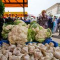 Daržovių augintojai: bus iškraipyta visa rinka