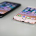 Išleisti naujos spalvos „iPhone“ telefonai turi paslėptą žinutę