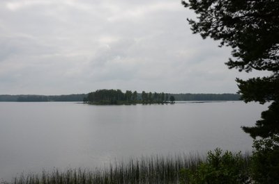 Milijono vertas vaizdas/ Skaitytojos Neridos nuotr.