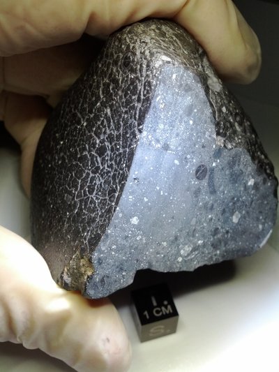 Meteoritas iš Marso. NASA nuotr.