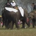 Nepale surengtos dramblių futbolo varžybos