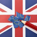 JK sutiko duoti ES daugiau laiko prekybos po „Brexit“ susitarimui oficialiai patvirtinti