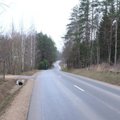 Vilniaus rajone – naujai išasfaltuoti keliai