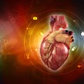 5 širdies ligų simptomai, kurių negalima ignoruoti