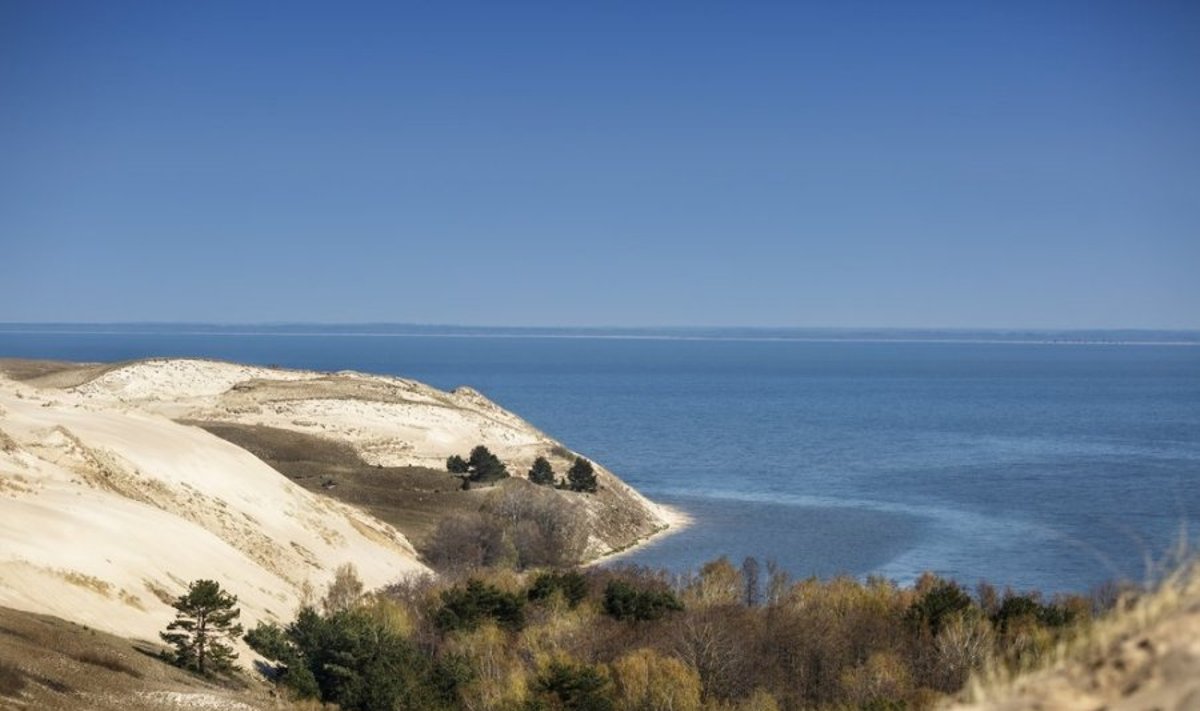 Kuršių nerija