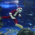 Kalėdų Senelis įnešė džiaugsmo į Tokijo jūrų muziejų