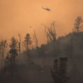 Kalifornijos ugniagesiams sunkiai sekasi kovoti su miškų gaisrais